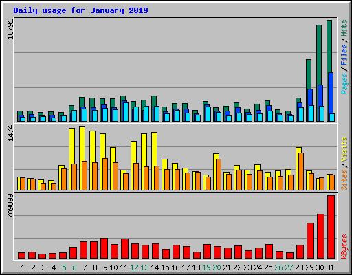 Daily usage for January 2019