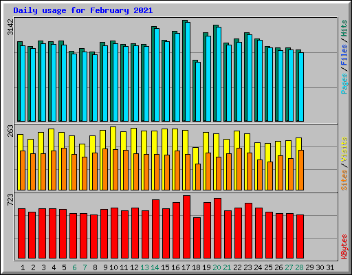 Daily usage for February 2021