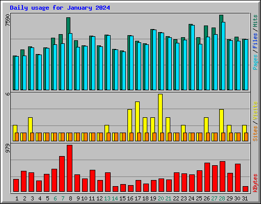 Daily usage for January 2024
