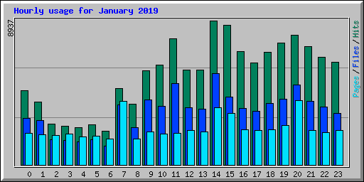 Hourly usage for January 2019