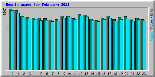 Hourly usage for February 2021