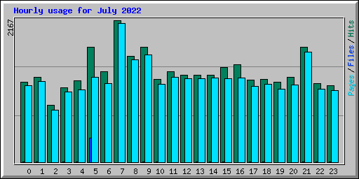 Hourly usage for July 2022