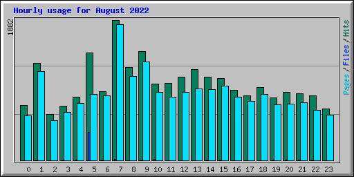 Hourly usage for August 2022