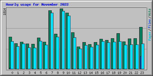 Hourly usage for November 2022