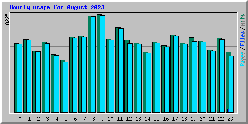 Hourly usage for August 2023