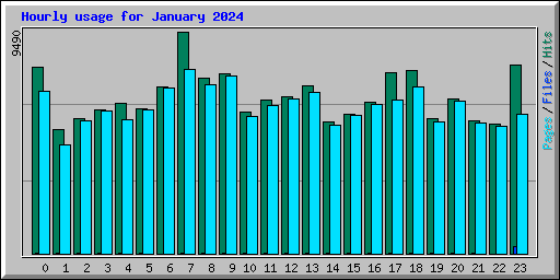 Hourly usage for January 2024