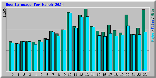 Hourly usage for March 2024