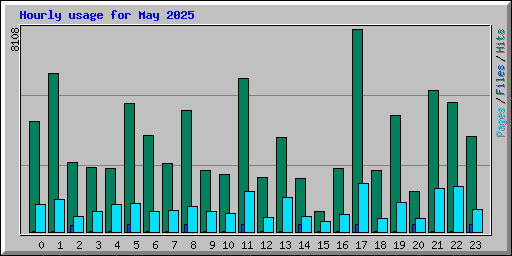 Hourly usage for May 2025