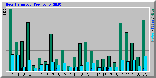 Hourly usage for June 2025