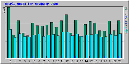 Hourly usage for November 2025