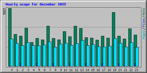 Hourly usage for December 2025