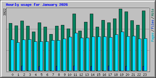 Hourly usage for January 2026